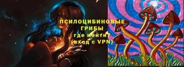бошки Армянск